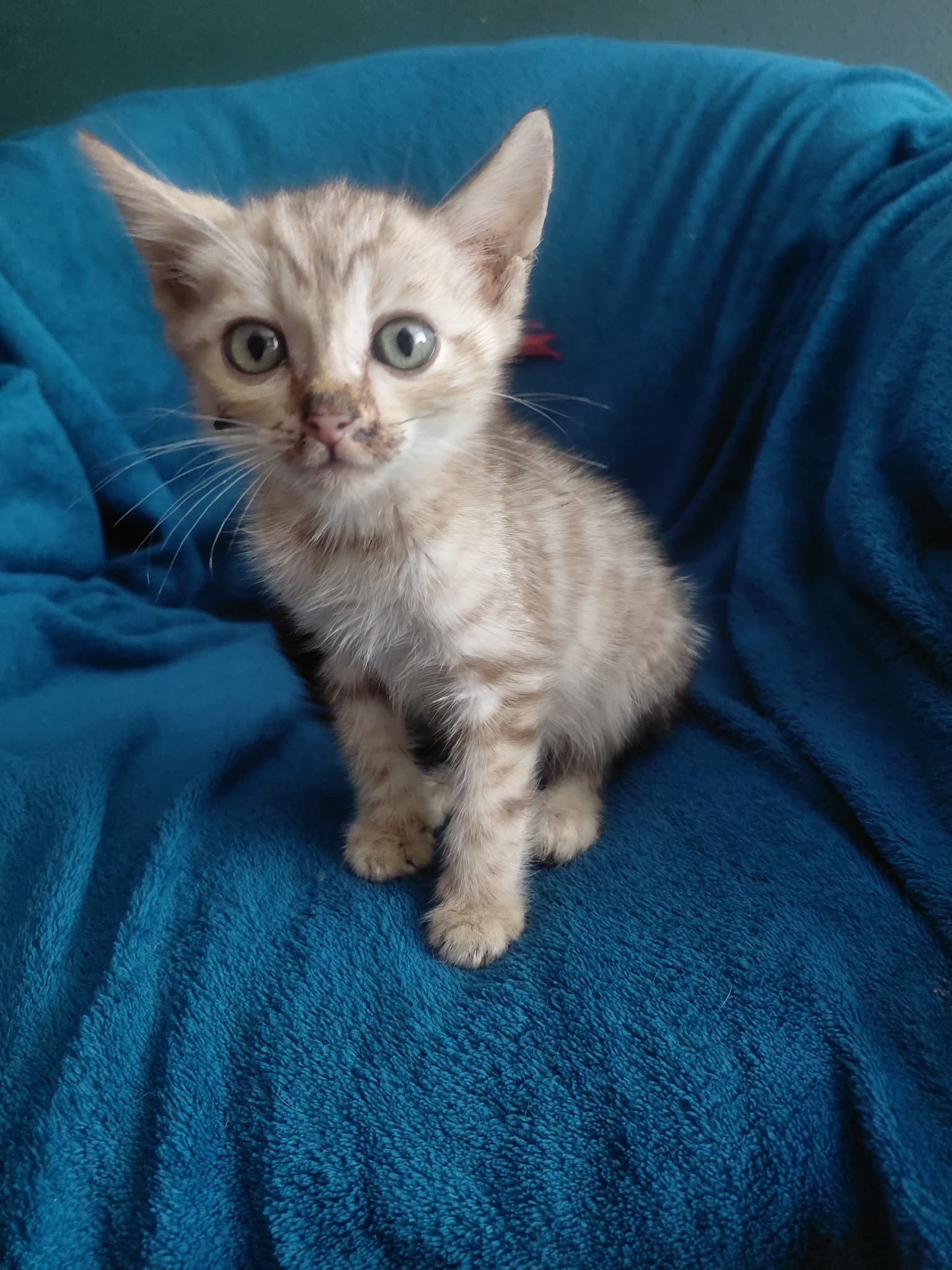 Carlos