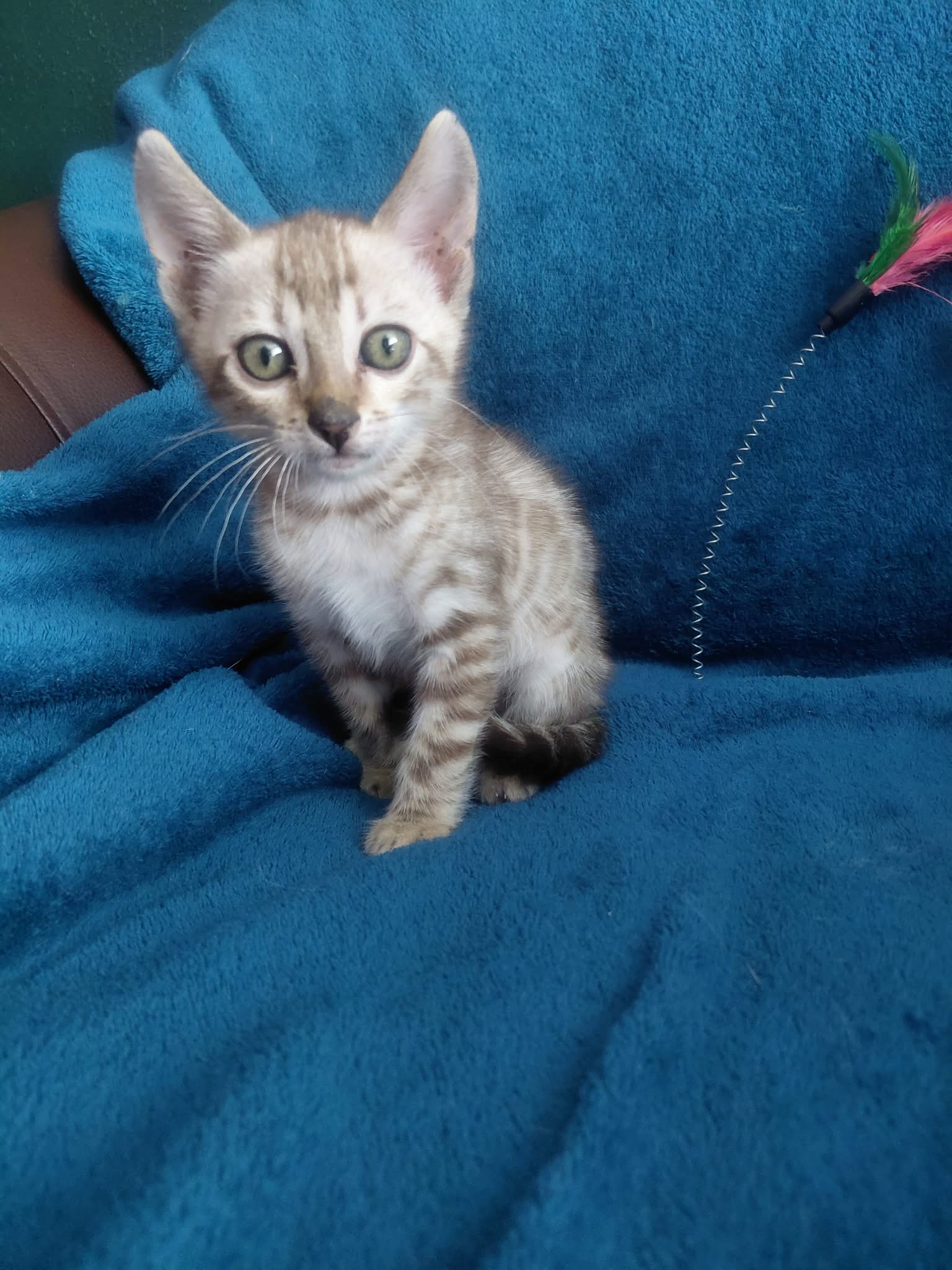 Carlos