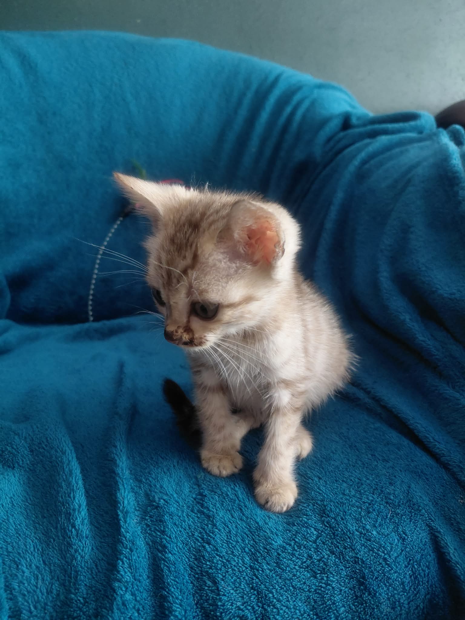 Carlos
