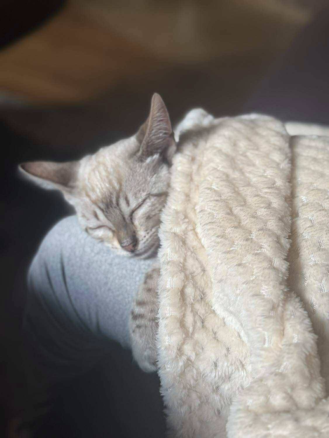 Niewidzialne dziedzictwo: Dlaczego badania genetyczne HCM i PKD to najpiękniejsza obietnica dla Twojej rodziny