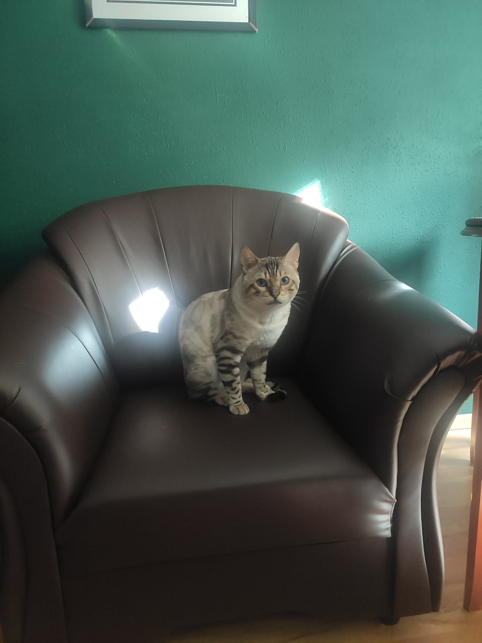 Luki